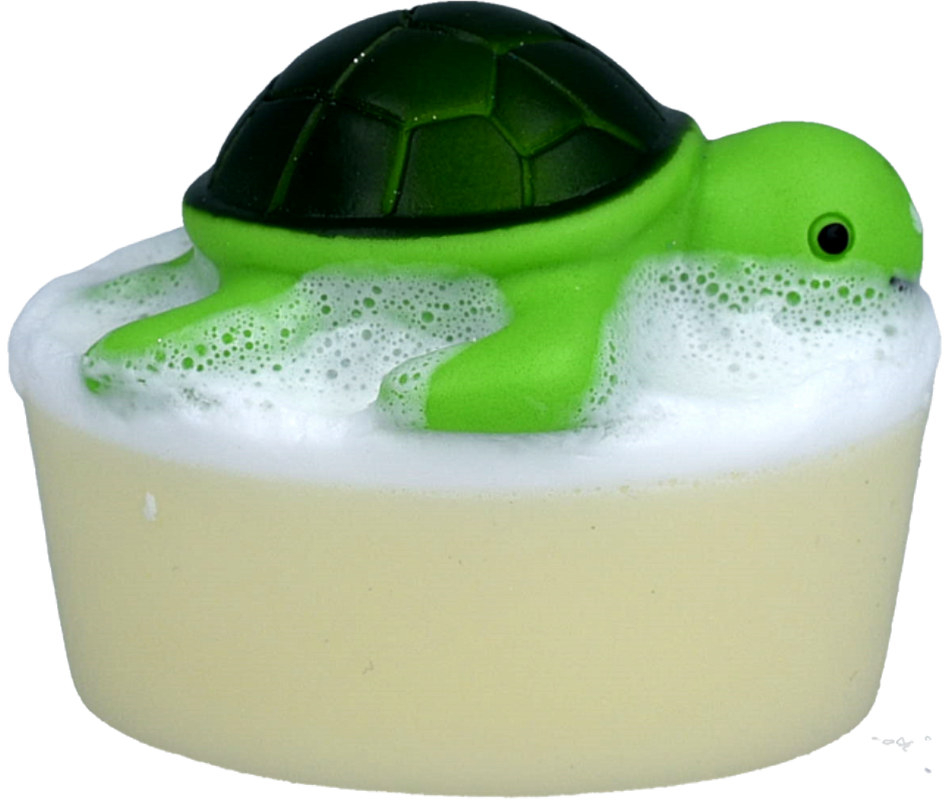 Turtley Clean Toy Soap